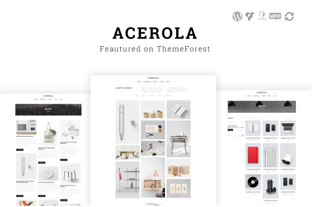 Acerola - Ultra Minimalist Agency WordPress Theme 1.6.5