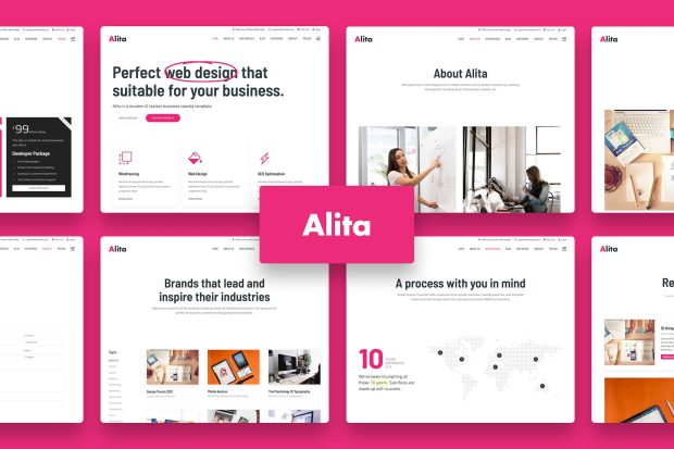 Alita - Web Studio WordPress Theme 1.0.7