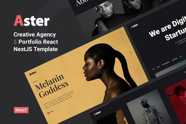 Aster - Creative Agency Portfolio React NextJS