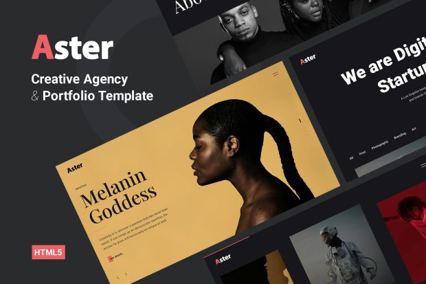 Aster - Creative Agency Portfolio Template