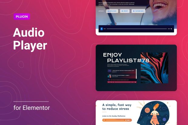 Audio Player with Controls Builder for Elementor 1.0.5