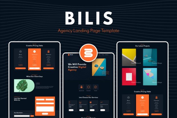 Bilis - Agency Landing Page Template