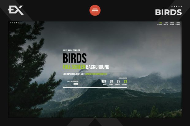 Birds - Responsive Coming Soon Page