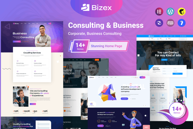 Bizex - Business Consulting WordPress Theme 1.0.4