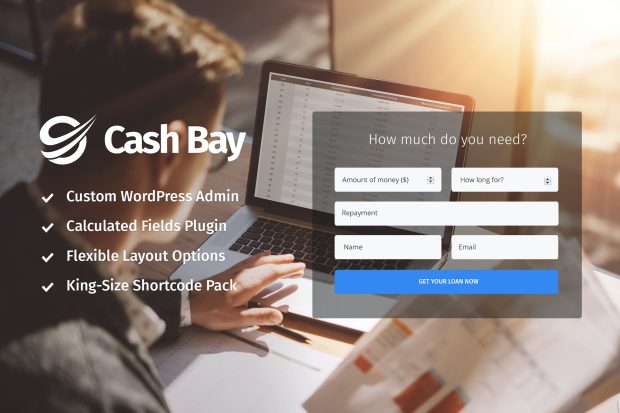 Cash Bay - Loan & Credit Money WP Theme 1.1.6