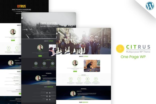 Citrus - One Page WordPress Theme 3.5