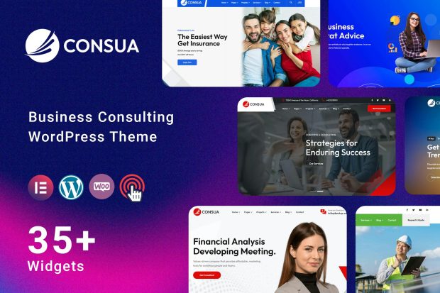 Consua - Business Consulting WordPress Theme 1.0