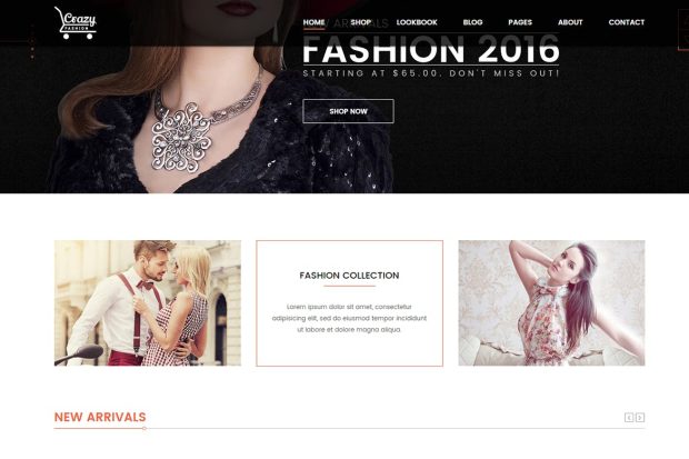 Crazy Fashion - eCommerce HTML5 template