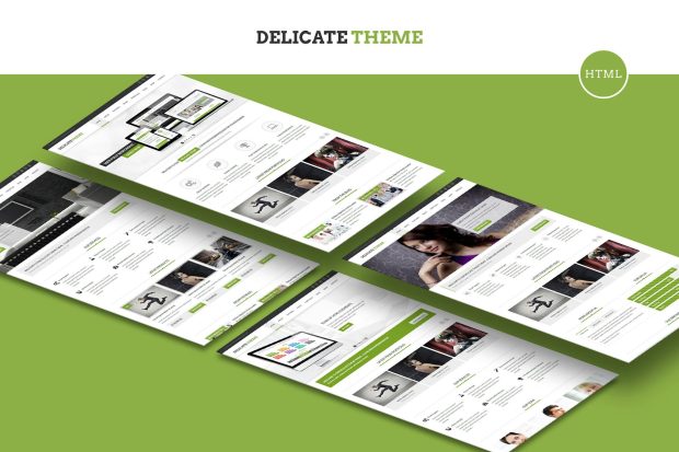 Delicate - Responsive Multipurpose HTML5 Template