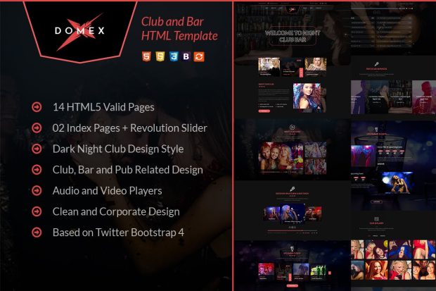 Domex - Night Club HTML Template