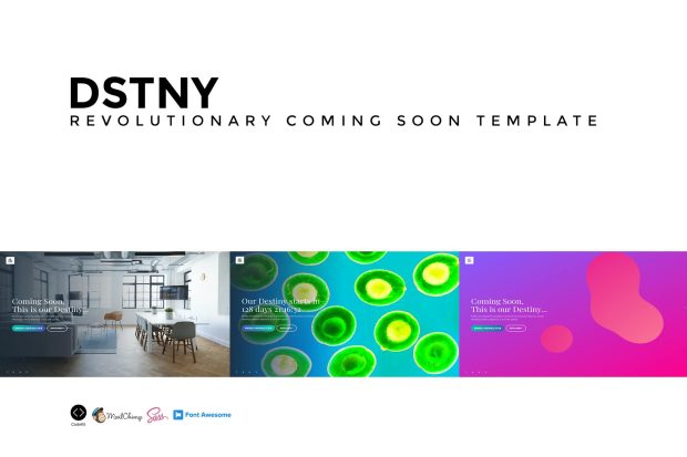 DSTNY - Revolutionary Coming Soon Template