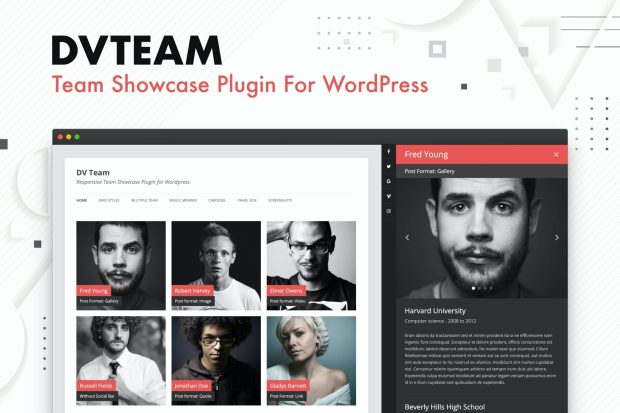 DV Team - Team Showcase Plugin For WordPress 2.2