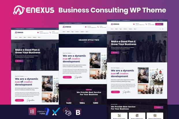 Enexus - Consulting Business Elementor WordPress 1.0