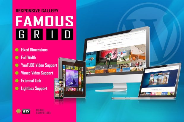 Famous - Responsive Image And Video Grid Gallery 1.4