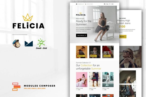 Felicia - E-commerce Responsive Email Template