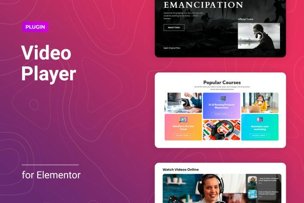 Flexible Video Player for Elementor 1.0.2