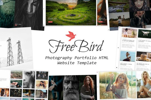 FreeBird - Photography Portfolio Website Template