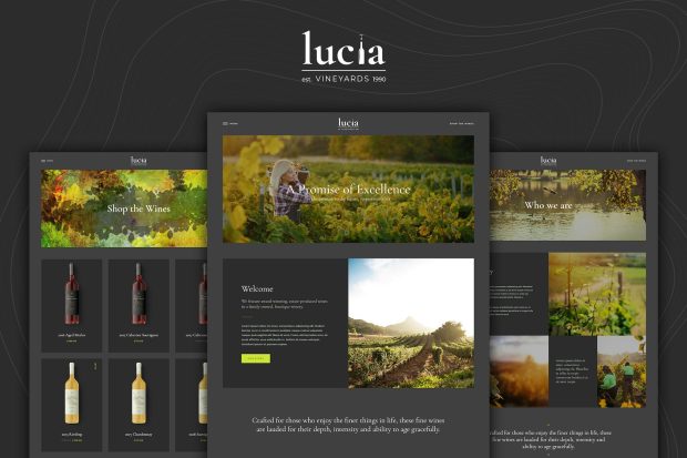 Lucia - Wine WordPress Theme 1.6