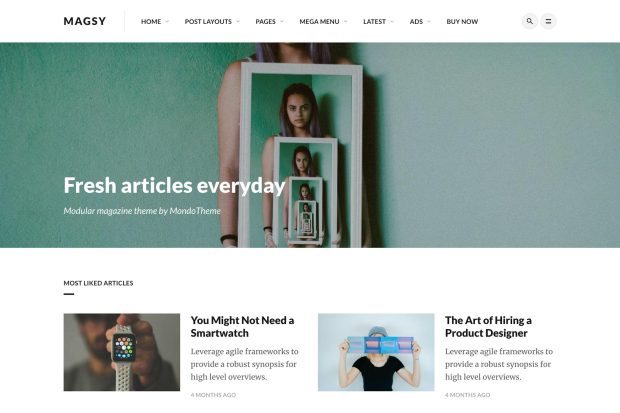 Magsy - Modular Magazine & Blog Theme 1.3