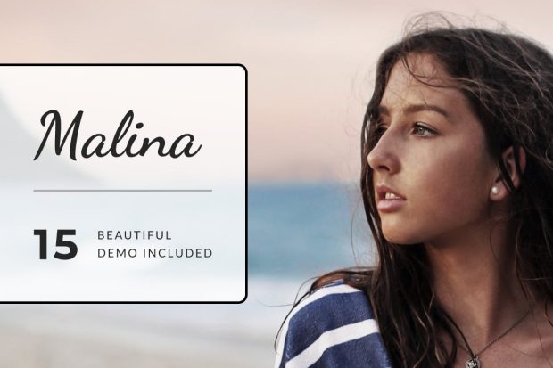 Malina - Personal WordPress Blog Theme 2.4.1