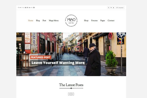 Miao - Clean Blog & Shop WordPress Theme 1.1.3