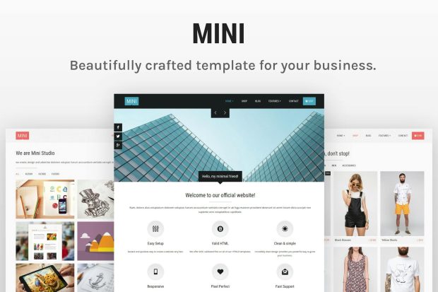 Mini - Unique HTML5 Template