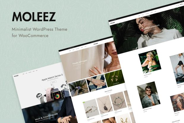 Moleez - Minimalist WordPress Theme for WooCommerc 2.4.4