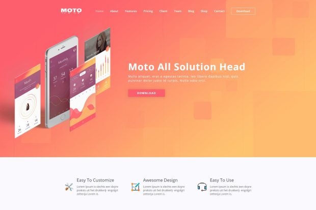 Moto - WordPress Landing Page Theme 1.2.1