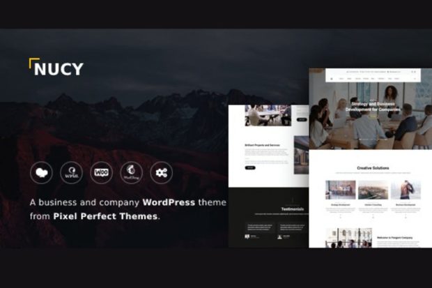 Nucy - Business & Company WordPress Theme 1.2.5