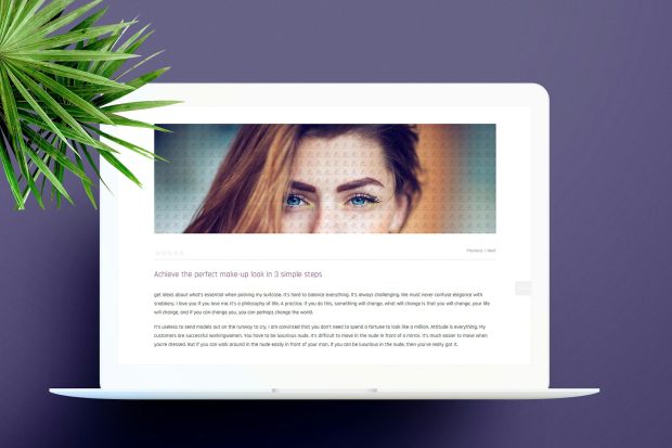 Pro Bulk Watermark Plugin for WordPress 2.0