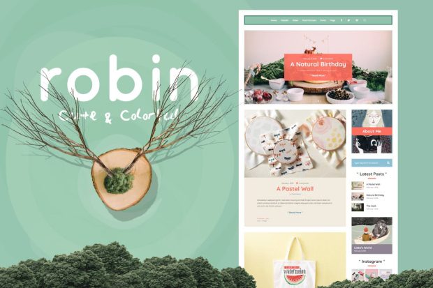 Robin - Cute & Colorful Blog Theme 7.0.6