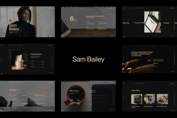 Sam Bailey - Personal CV/Resume WordPress Theme 1.0.0