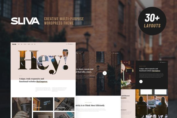 Sliva - Responsive Multi-Purpose Theme 1.0