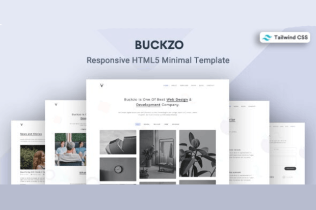 Tailwind CSS 3  Minimal Template - Buckzo