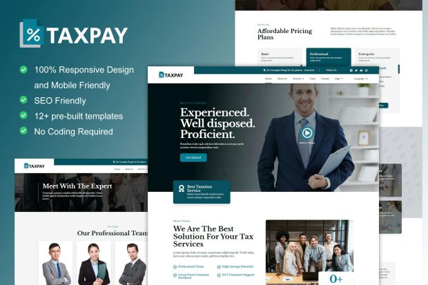 TaxPay -  Advisor & Financial Consulting Elementor Template Kit