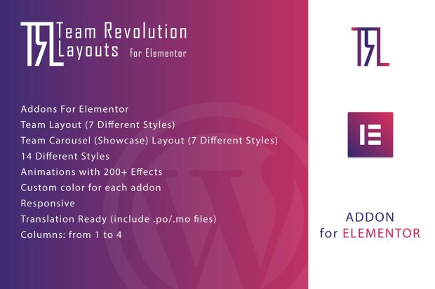 Team Revolution Layouts for Elementor 1.0