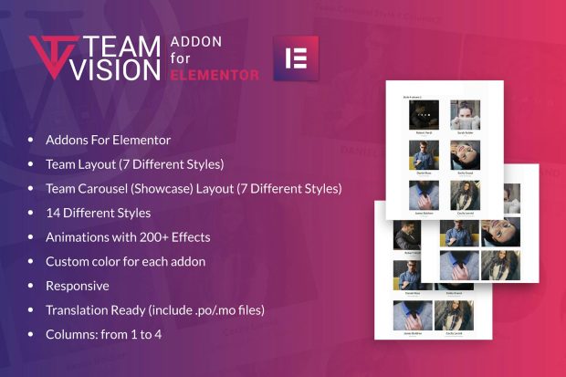 Teamvision for Elementor WordPress Plugin 1.0