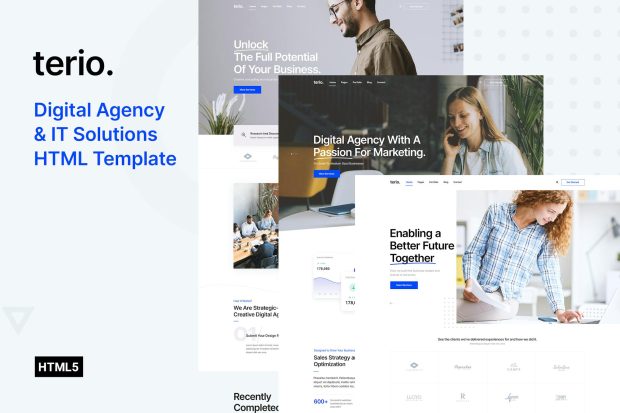 Terio - Digital Agency & IT Solutions Template