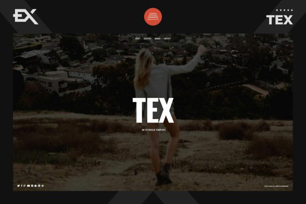 Tex - Creative One Page Portfolio Template