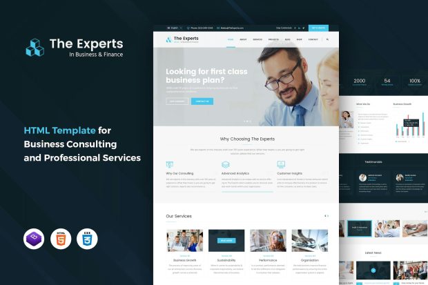 The Experts - Business Consulting Template