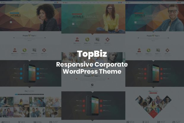 TopBiz - Responsive Corporate WordPress Theme 1.0