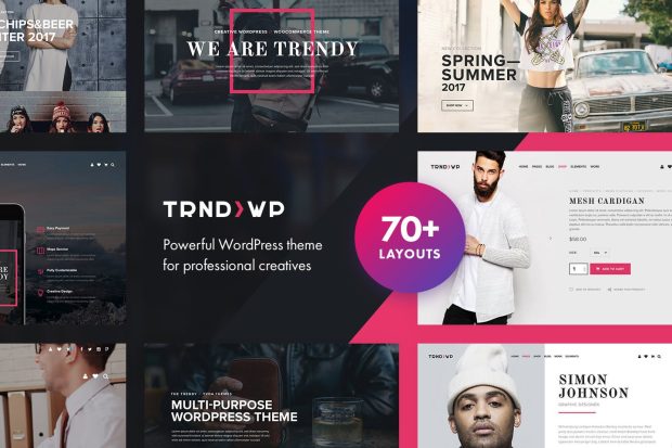 Trendy - Creative Multi-Purpose WordPress Theme 1.3