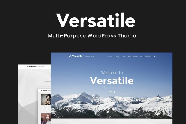 Versatile - Multi-purpose WordPress Theme 1.4.7