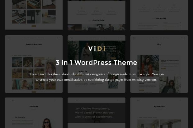 ViDi - 3 in 1 Creative WordPress Theme 1.1.2