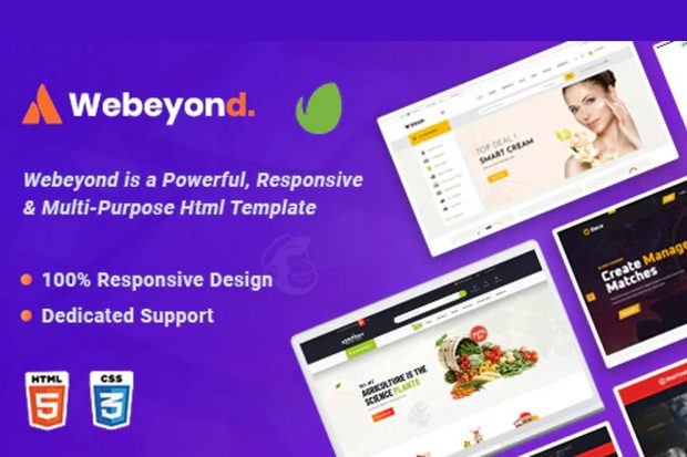 WeBeyond - Multipurpose HTML5 Template Package