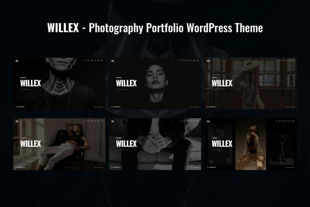 Willex - Photography Portfolio WordPress Theme 1.0