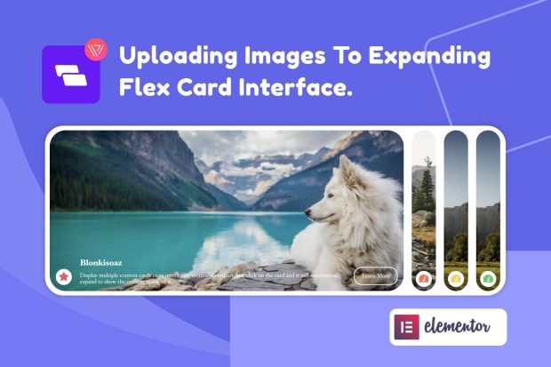 Wiloke Expanding Flex Cards Elementor Addon 1.0.0