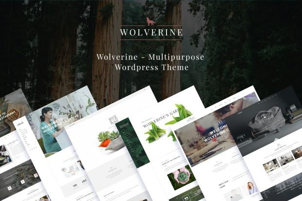 Wolverine - Responsive Multi-Purpose Theme 3.3