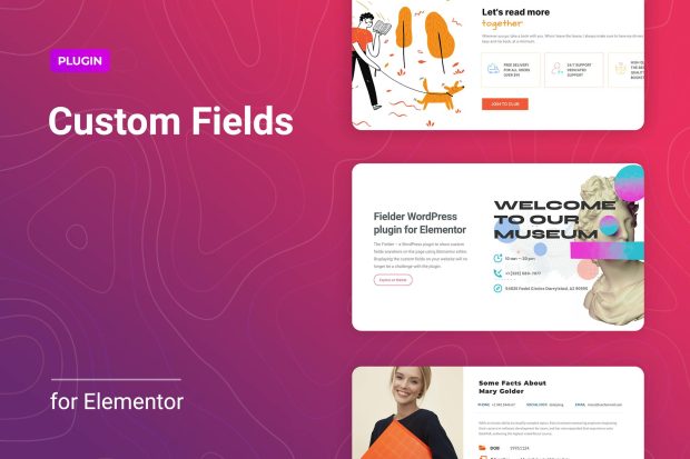 WordPress Custom Fields for Elementor 1.1.1