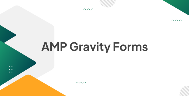 AMP Gravity Forms 2.9.36